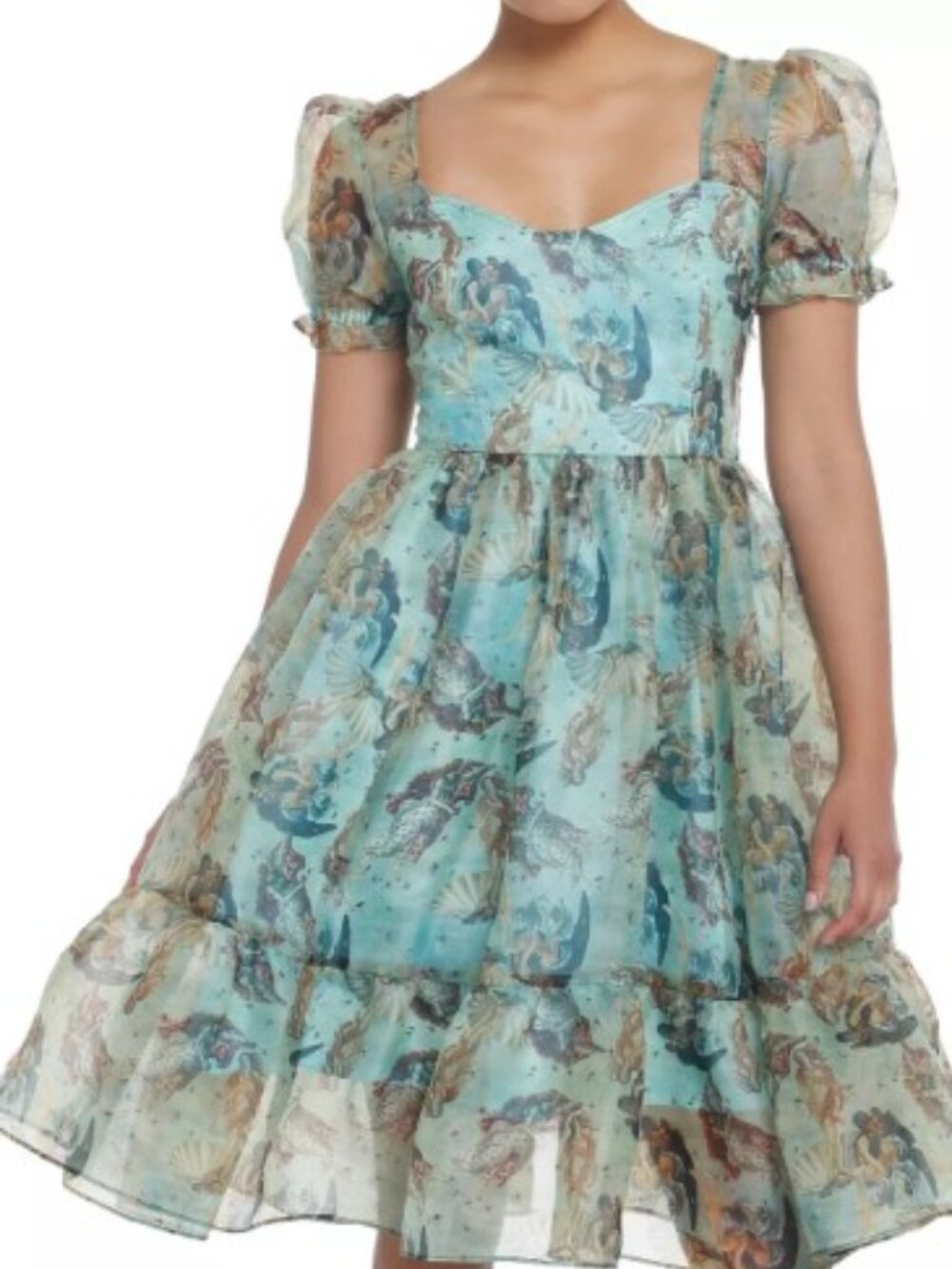 Renaissance Thorn & Fable The Birth Of Venus Mesh Puff Sleeve Dress